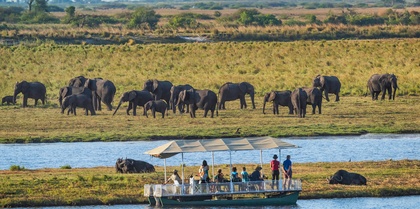 Safari tourists in a boat at watching a herd of Elephants, Chobe, Botswana
