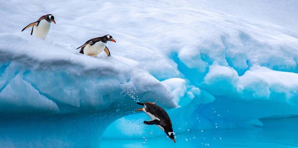 Antarctic Peninsula
