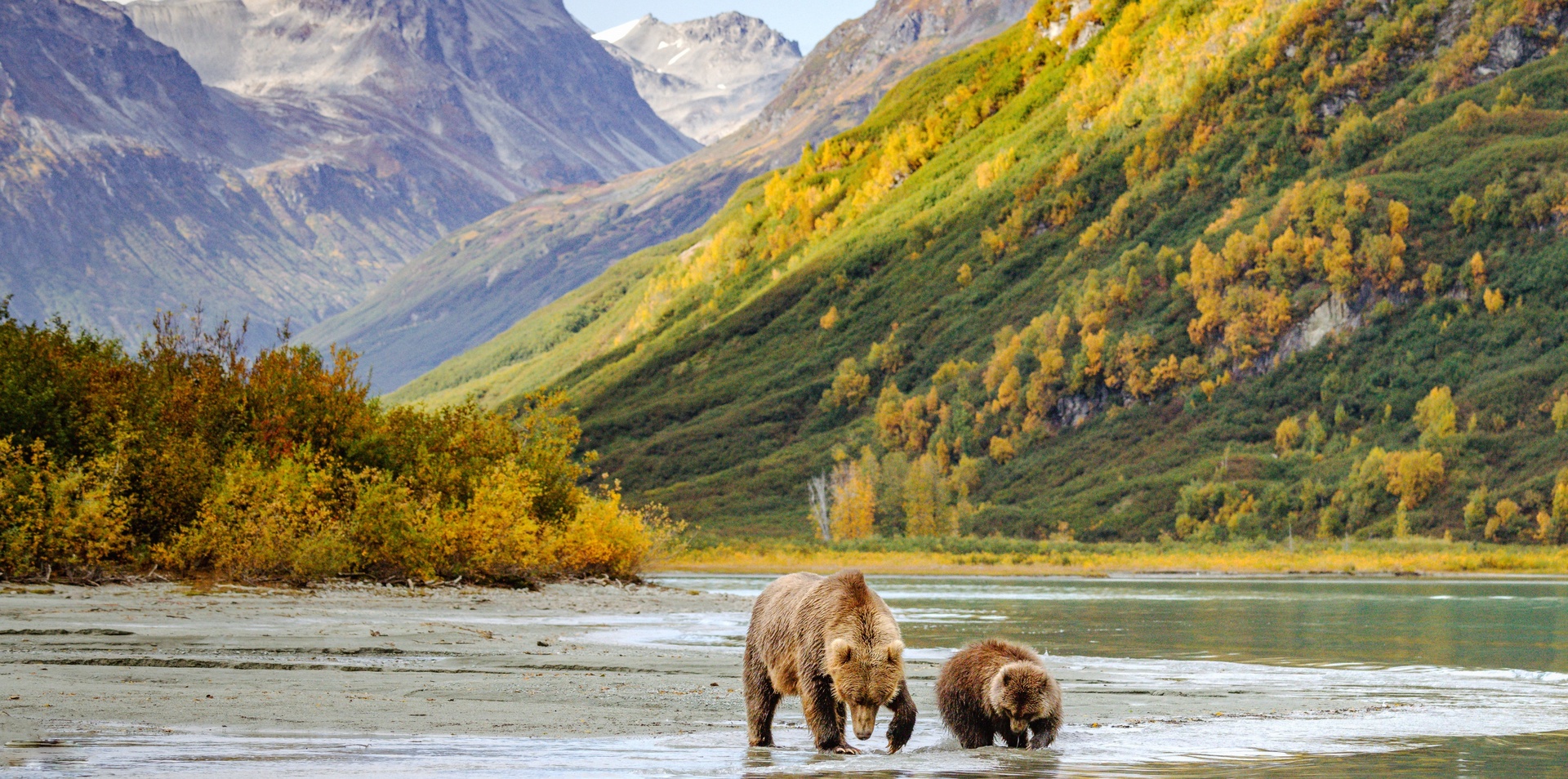 Rockies Explorer and Alaska Cruise