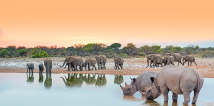 Authentic South Africa