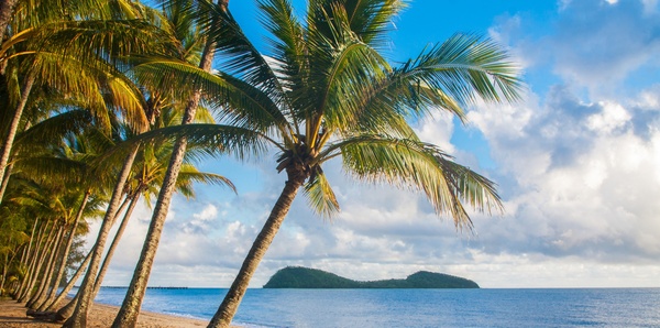 Palm Cove, Queensland