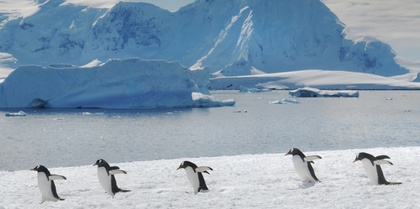 Antarctica