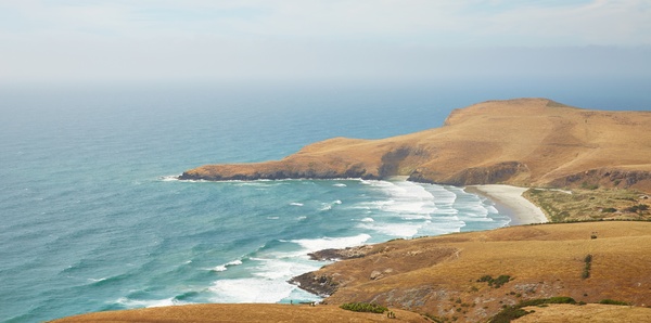 Dunedin, New Zealand