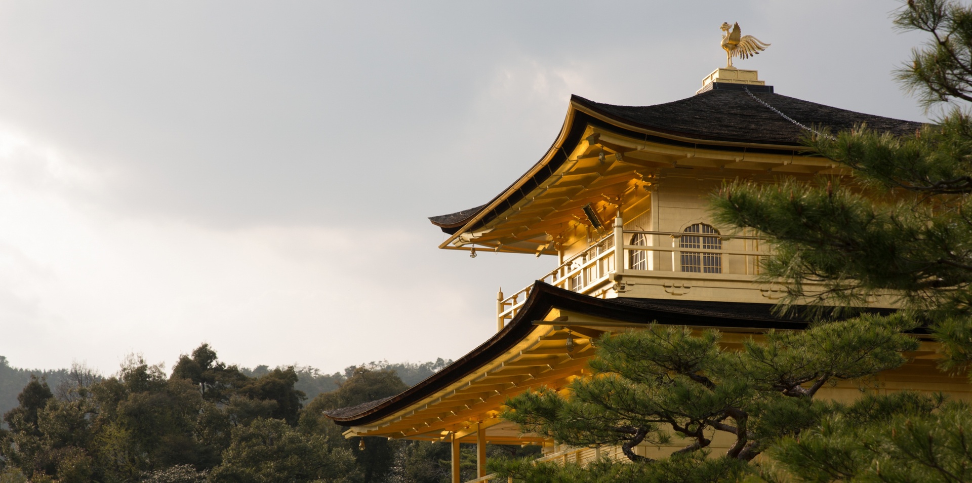 LD CEL Kyoto Kinkakuji Temple 1 0