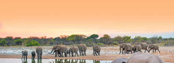 Tailor-Made Journeys